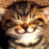 Profile Picture of Alex Reynoso (@alex-reynoso-6) on Quora