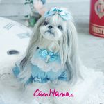 Profile Picture of 幸せに暮らすお洋服💕きゃんナナ (@cannanamomo) on Instagram