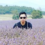 Joey Joe Joe jr Shabadoo - Instagram Profile Picture of Joey Joe Joe jr Shabadoo (@joeyjoejoejrshabadoo) on Instagram