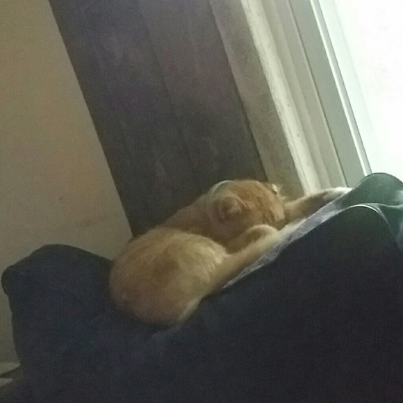 Profile Picture of Dawson Lanningham (@dawtlanningham) on Poshmark