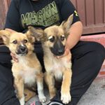 Profile Picture of Joseph Saavedra (@saavedra1034) on Instagram