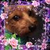 Profile Picture of Jodi Hinsdale (@jodi.hinsdale) on Facebook