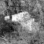 Profile Picture of William Meyer (@WMPhoto2017) on Flickr