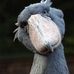 Profile Picture of Barry Stewart (@barry.stewart.9256) on Facebook