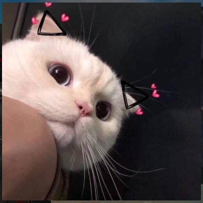 Profile Picture of Lim Sin Yu Debbie (@LimSinYuDebbie1) on Twitter