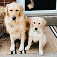 Profile Picture of Ty Craig (@ty-craig-17) on Quora