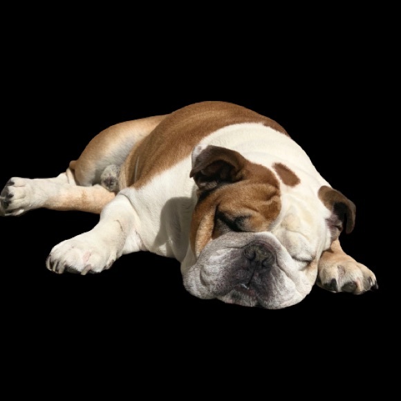 Profile Picture of Tara Nguyen (@taraxjames) on Poshmark