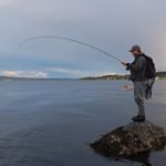 Profile Picture of Peter Toft Kronberg (@petertoftkronberg) on Instagram