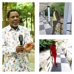 Profile Picture of Alexander Okafor (@alexander.okafor.1069) on Facebook