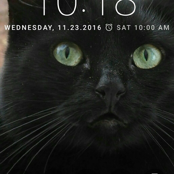 Profile Picture of Kim Shiller (@kimmarie1426) on Poshmark