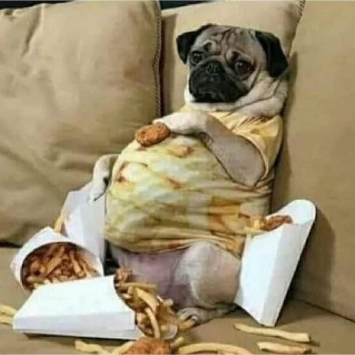 Profile Picture of 🇲🇽🇲🇽Luis Mandujano🇲🇽🇲🇽 (@luismandujano43) on Tiktok