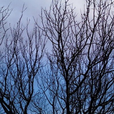 Profile Picture of Jeremy Furniss (@jayboi44) on Twitter