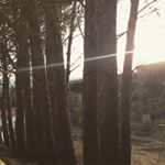 Profile Picture of 🌻Hamdi Chayma🌻 (@shaymalaurel) on Instagram