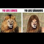 Profile Picture of Reene Saenz (@reenesaenz) on Instagram