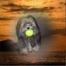 Profile Picture of John Wind (@john.wind1) on Facebook