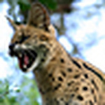 Profile Picture of John Finch (@John Finch Photography) on Flickr