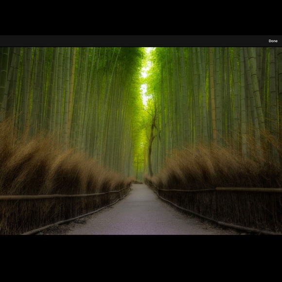 Profile Picture of Desiree Ljungquist (@jasmine71663) on Poshmark