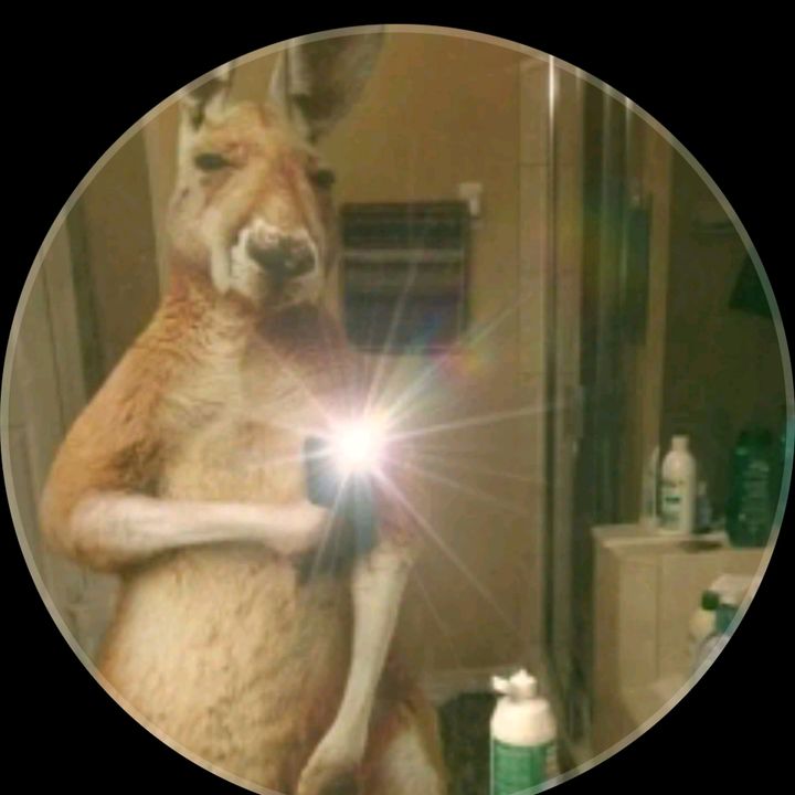 Profile Picture of Sebastian Ballester (@sebastian.ballest97) on Tiktok