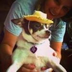 Profile Picture of Marsha Slade (@marshahamrickslade) on Instagram