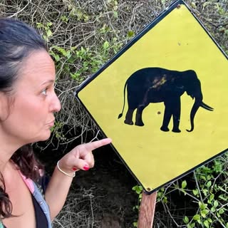 Profile Picture of Sonia Palmer 🌵 (@soniapalmer) on Instagram