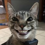 Profile Picture of Kalvin Borchers (@Mr.TwistedRolls) on Facebook