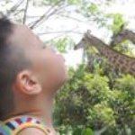 Fion Lau - Instagram Profile Picture of Fion Lau (@lau.fion) on Instagram