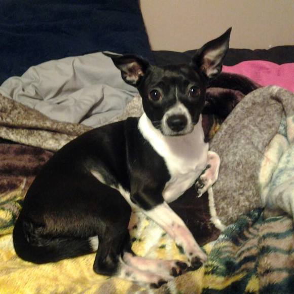 Profile Picture of Omar Bautista (@bautistaomar07) on Poshmark