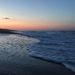 Profile Picture of Chloe Presloid (@chloepresloid) on Pinterest