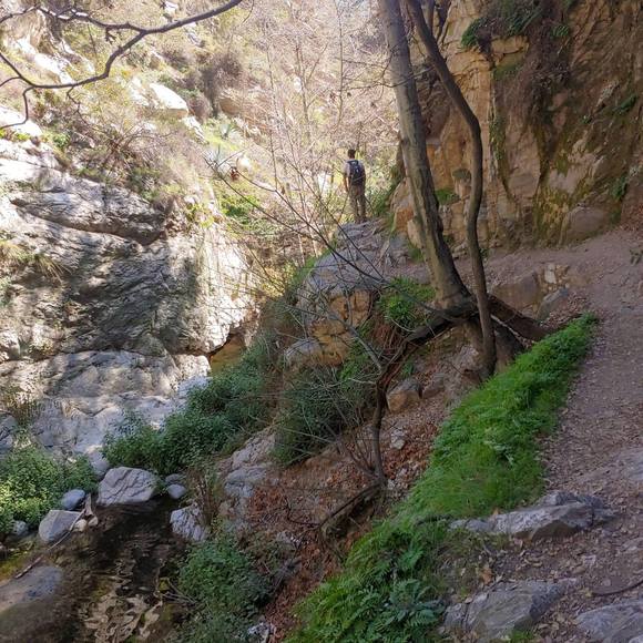 Profile Picture of Jeremy Rainville (@rainwizard13) on Poshmark