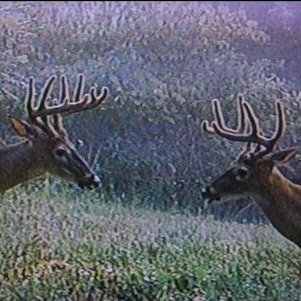 Profile Picture of Brian Kightlinger (@rvwoutfitters) on Twitter