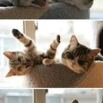 Profile Picture of Rosetta Anderson (@rosettaanderson849) on Instagram