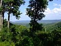 Profile Picture of Shawnee State Foreston Wikipedia