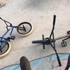 Profile Picture of Dan Reid (@@dan.reid) on Tiktok