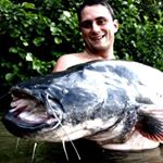 Profile Picture of Serge Paulino (@serge_paulino) on Instagram