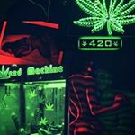 Lil Müchei🌬 - Instagram Profile Picture of Lil Müchei🌬 (@tim.moesei) on Instagram