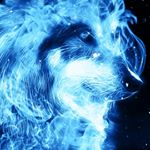 Profile Picture of stevenrainerhartl (@stevenrainerhartl) on Instagram