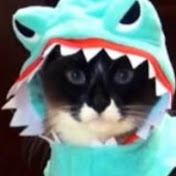 Profile Picture of Caleb Hyde (@calebhyde7528) on Youtube