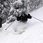 Myles Brady - Instagram Profile Picture of Myles Brady (@mylezbee) on Instagram