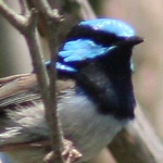 Profile Picture of Tom Cummings (@tjcummings1970) on Flickr