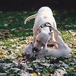 Profile Picture of Michael Hotwagner (@hotwagnermichael) on Instagram