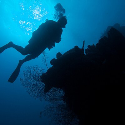 Profile Picture of James Deighton (@jamesadeighton) on Twitter