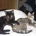 Profile Picture of Michael Pouchain (@michaelpouchain) on Instagram