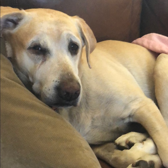 Michael Stoffer - Poshmark Profile Picture of Michael Stoffer (@michaelstoffer) on Poshmark