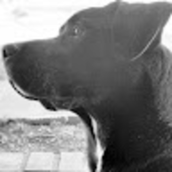 Profile Picture of Christopher Barbee (@twopacmom) on Poshmark