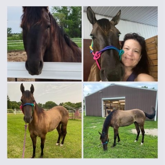 Profile Picture of Carla Brunsvold (@carlabrunsvold) on Poshmark