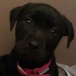 Adam McElhinney - Instagram Profile Picture of Adam McElhinney (@adam_mcelhinney) on Instagram