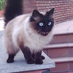 Profile Picture of Frieda Smith (@friedasmith5509) on Instagram