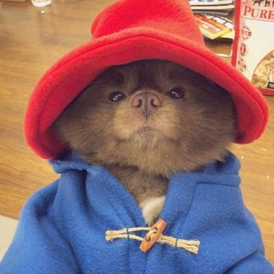 Profile Picture of Eadon (@eadonwrote) on Twitter