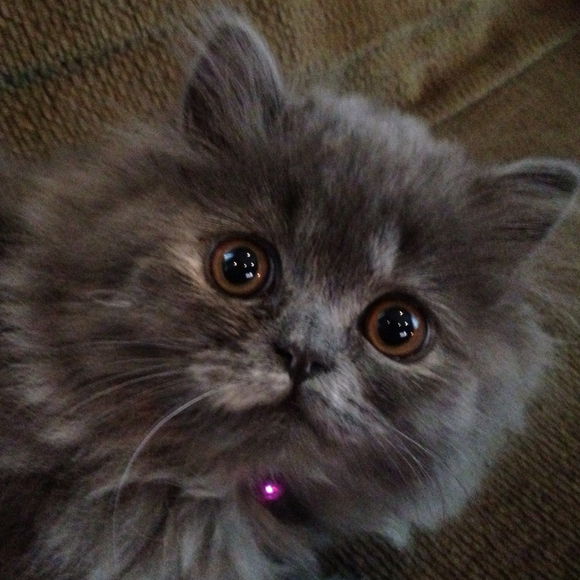 Profile Picture of Jamie Doulette (@jamie1970) on Poshmark