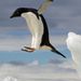 Profile Picture of Andrew Wesley (@andrewwesley54) on Pinterest
